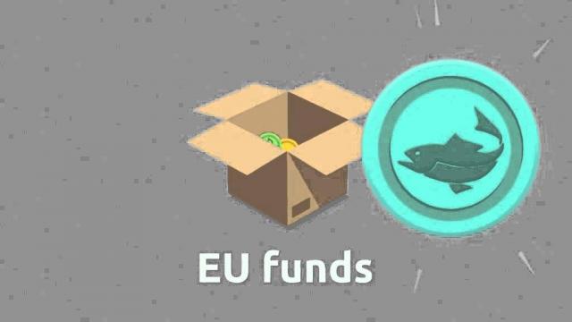 Embedded thumbnail for Why does the EU concentrate its spending on specific target groups or regions?